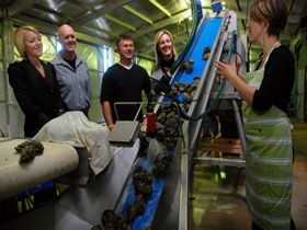 Eyre Peninsula's Seafood Trail - Find Attractions 0