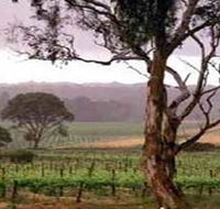 Yangarra Estate Vineyard - Find Attractions