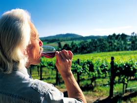 Ashton Hills Vineyard - Find Attractions 0