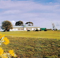 Lucindale Country Club - Find Attractions