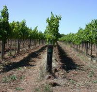 Temple Bruer Winery - Find Attractions