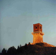 Centenary Tower - Find Attractions 0