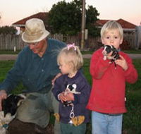 Orrie Cowie Merino and Poll Merino Stud - Find Attractions