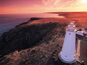 Lashmar Conservation Park - Find Attractions 0