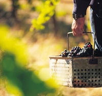 Spinifex Art and Crafts - Find Attractions