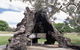 The Herbig Family Tree - thumb 0