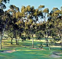 Tanunda Pines Golf Club - Find Attractions