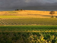 Kellermeister Wines