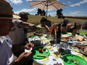 God's Hill Wines - Find Attractions 0