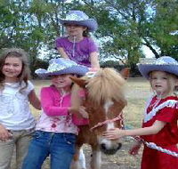 Amberainbow Pony Rides - Find Attractions