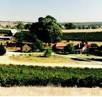 Irvine Wines - Find Attractions