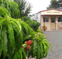 Gully Gardens - Find Attractions