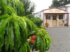 Gully Gardens - Find Attractions 0