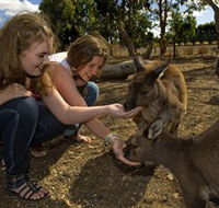 Kangaroo Island Wildlife Park - Find Attractions