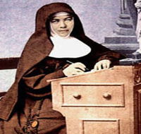Mary MacKillop Penola Centre - Find Attractions