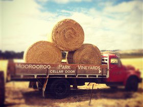 Moorooroo Park Vineyards Tanunda