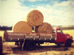 Moorooroo Park Vineyards - Find Attractions 0