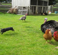 Echo Farm - Find Attractions