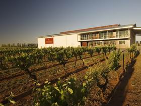 Zema Estate Coonawarra