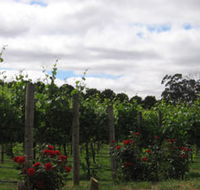 Manyara Vineyard - Find Attractions