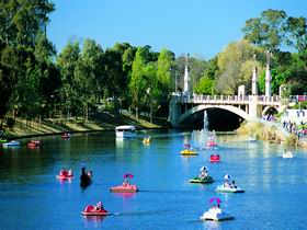 Captain Jolleys Paddle Boats - Find Attractions 0