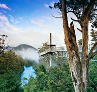 Tahune Adventures Tasmania - Find Attractions