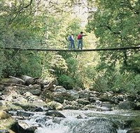 Arve Forest Drive - Find Attractions