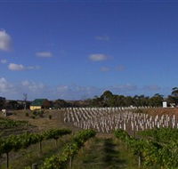 Deep Creek Wines and Alpacas - Find Attractions