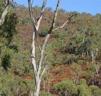 Black Hill Conservation Park - Find Attractions