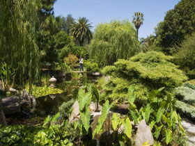 Adelaide Himeji Garden - Find Attractions 0