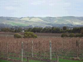 Mclaren Vale Premium Wines McLaren Vale