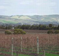 Mclaren Vale Premium Wines - Find Attractions