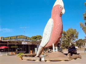  Find Attractions