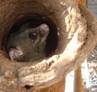 Mulga Sanctuary and Wildlife Park - Find Attractions