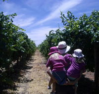McLaren Vale Orchards - Find Attractions