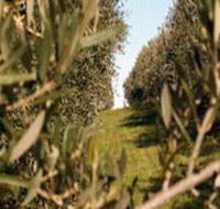 Evilo Estate - Find Attractions