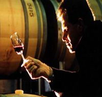 Salena Estate Wines - Find Attractions
