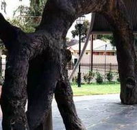 Old Gum Tree - Find Attractions