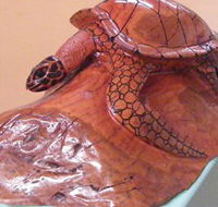 Ants Redgum Gallery - Find Attractions