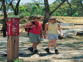 Riesling Trail - Find Attractions 0