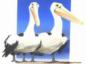 Bay Of Shoals Wines - Find Attractions 0