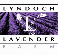 Lyndoch Lavender Farm and Cafe - Find Attractions