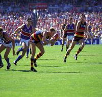 AAMI Stadium Tours - Find Attractions
