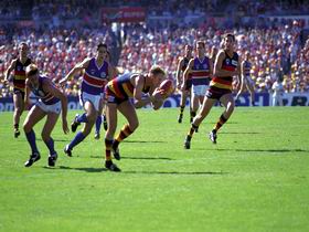 AAMI Stadium Tours - Find Attractions 0