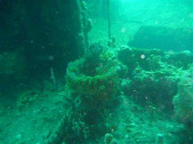Wallaroo Scuba Club - Find Attractions 0