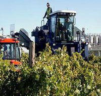 Ballast Stone Estate Wines Pty Ltd - Find Attractions