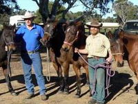 Book Coffin Bay Accommodation Vacations Find Attractions Find Attractions