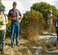 Coobowie Bird Hide - Find Attractions