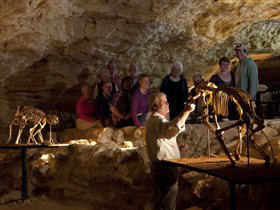 Naracoorte Caves National Park Naracoorte