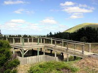 Mount Muirhead Lookout